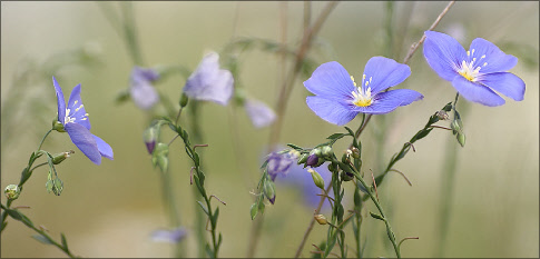 wpc5d48954_0f.jpg